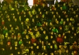 Zdjęcie z galerii Mentor Nestle Nesquik Toruń Cup 2016