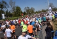 Zdjęcie z galerii Run Toruń 2016