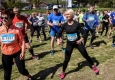 Zdjęcie z galerii Run Toruń 2016