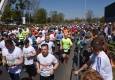 Zdjęcie z galerii Run Toruń 2016