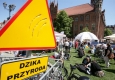 Zdjęcie z galerii Śniadanie na Trawie 2016