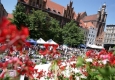 Zdjęcie z galerii Śniadanie na Trawie 2016