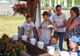 Zdjęcie z galerii Dni Drwęcy 2016 w Toruniu