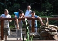 Zdjęcie z galerii Ogród Zoobotaniczny dostępny dla wszystkich