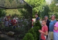 Zdjęcie z galerii Ogród Zoobotaniczny dostępny dla wszystkich