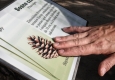 Zdjęcie z galerii Ogród Zoobotaniczny dostępny dla wszystkich