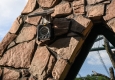 Zdjęcie z galerii Ogród Zoobotaniczny dostępny dla wszystkich