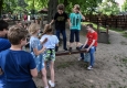 Zdjęcie z galerii Ogród Zoobotaniczny dostępny dla wszystkich