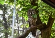 Zdjęcie z galerii Ogród Zoobotaniczny dostępny dla wszystkich
