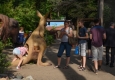 Zdjęcie z galerii Ogród Zoobotaniczny dostępny dla wszystkich