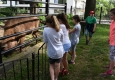 Zdjęcie z galerii Ogród Zoobotaniczny dostępny dla wszystkich