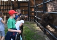 Zdjęcie z galerii Ogród Zoobotaniczny dostępny dla wszystkich