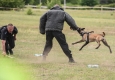 Zdjęcie z galerii Piknik Razem z NATO