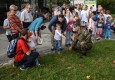 Zdjęcie z galerii Święto Wojska Polskiego 2016