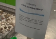Zdjęcie z galerii I Międzyprzedszkolny Turniej Badawczy „Zabawy z nurtem Wisły”