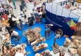 Zdjęcie z galerii Targi Wypoczynek i Festiwal smaków