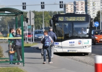 Autobus MZK w Toruniu