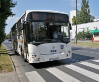 Zdjęcie do artykułu: Autobusy w Zielone Świątki