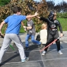 Zdjęcie z galerii Star Force 2015
