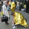 Zdjęcie z galerii 33.Toruń Marathon