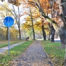 Zdjęcie z galerii Teren rekreacyjny przy ul. Rudackiej