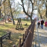 Zdjęcie z galerii Teren rekreacyjny przy ul. Rudackiej