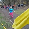 Zdjęcie z galerii Sztafetowe Biegi Przełajowe Toruń 2015
