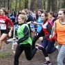 Zdjęcie z galerii Sztafetowe Biegi Przełajowe Toruń 2015