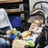 Zdjęcie z galerii Kids Athletics - Lekkoatletyka dla każdego Toruń 2015