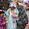 Zdjęcie z galerii Wielka Orkiestra Świątecznej Pomocy Toruń 2016