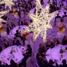Zdjęcie z galerii Toruński Bal Sportowca 2016