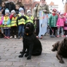Zdjęcie z galerii Filuś na Wielkich Garbarach