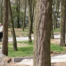 Zdjęcie z galerii Zagospodarowanie parku osiedlowego na Skarpie