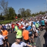 Zdjęcie z galerii Run Toruń 2016