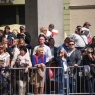 Zdjęcie z galerii Święto Konstytucji 3 Maja 2016