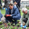 Zdjęcie z galerii "Polska w kwiatach" Toruń 2016
