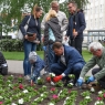 Zdjęcie z galerii "Polska w kwiatach" Toruń 2016