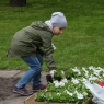 Zdjęcie z galerii "Polska w kwiatach" Toruń 2016