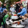 Zdjęcie z galerii "Polska w kwiatach" Toruń 2016