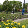 Zdjęcie z galerii "Polska w kwiatach" Toruń 2016