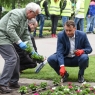 Zdjęcie z galerii "Polska w kwiatach" Toruń 2016