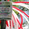 Zdjęcie z galerii Michayland 2016