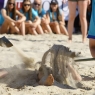 Zdjęcie z galerii Plaża Gotyku 2016: Mecz Gwiazd