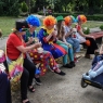 Zdjęcie z galerii Ogród Zoobotaniczny dostępny dla wszystkich