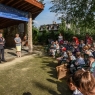 Zdjęcie z galerii Ogród Zoobotaniczny dostępny dla wszystkich