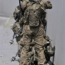 Zdjęcie z galerii NATO zdobywa most gen. Elżbiety Zawackiej w Toruniu
