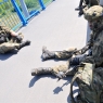 Zdjęcie z galerii NATO zdobywa most gen. Elżbiety Zawackiej w Toruniu