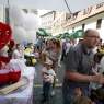 Zdjęcie z galerii Święto Mostu Paulińskiego 2016