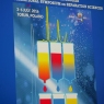 Zdjęcie z galerii Sympozjum chemiczne w Toruniu