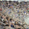 Zdjęcie z galerii Speedway: Get Well Toruń vs. Stal Gorzów